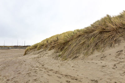 Scenic view of sand dune on beach against sky