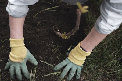 A person plants trees in the garden. ecology concept