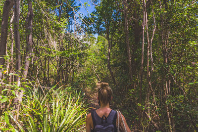 Rear view of woman in forest