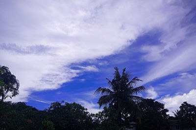 Low angle view of silhouette trees against sky