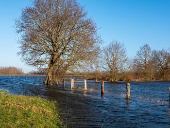 Scenic view of lake against clear blue sky