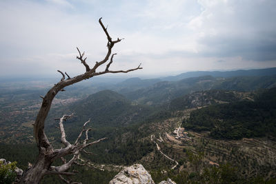 Aerial view of tree on landscape against sky