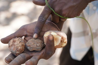 Cropped hands holding rocks