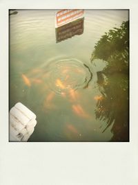 water
