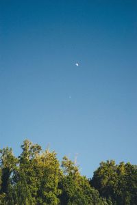 Low angle view of trees against clear blue sky