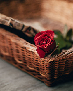 Close-up of red rose in basket