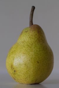 Close-up of fruit against white background