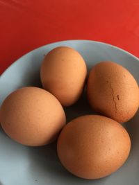 High angle view of eggs on table