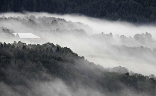 Scenic view of forest against sky during foggy weather