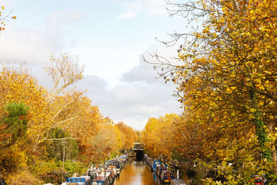 Canal amidst trees against sky during autumn