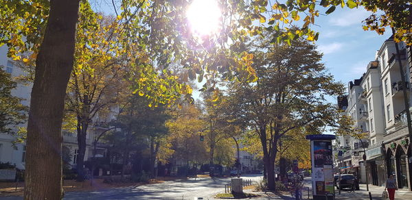 Street amidst trees against sky during autumn