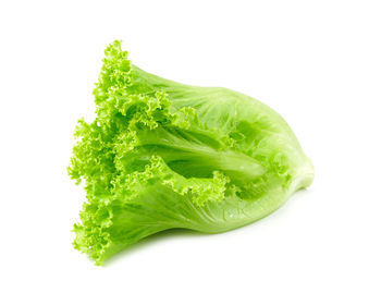 Close-up of green leaf against white background