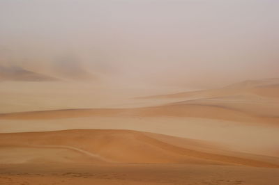 Scenic view of desert