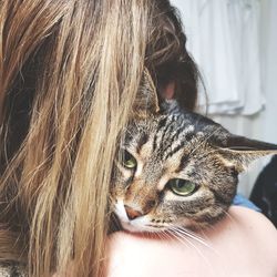 Close-up of woman carrying cat