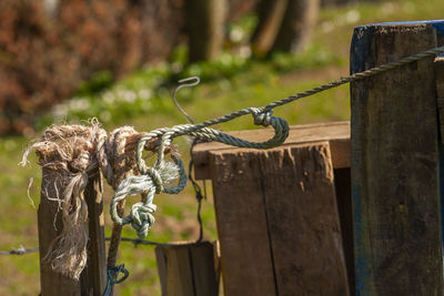 Close-up of rope tied to wooden post