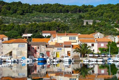 Buildings and trees in city