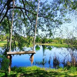 Scenic view of lake by trees in forest