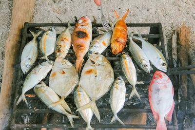 High angle view of fish on barbecue grill