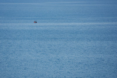 Sailboats sailing in sea