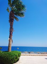 Scenic view of sea against clear blue sky