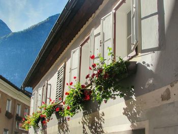 Low angle view of house against sky