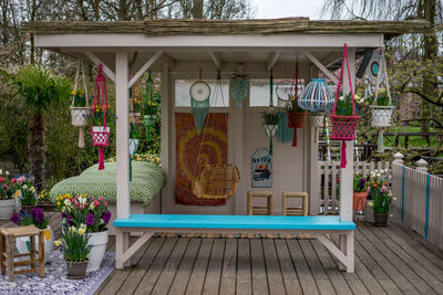 Potted plants on chair outside house