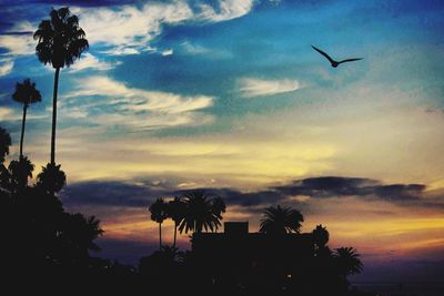 Low angle view of silhouette coconut palm trees against sky during sunset