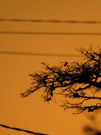 Low angle view of silhouette tree against orange sky