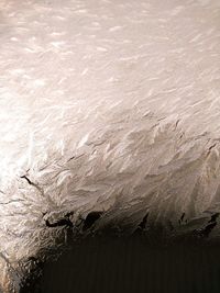 Close-up of water on beach against sky