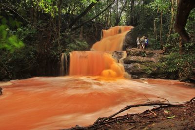 Blurred motion of waterfall in forest