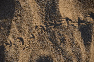 Close-up of text on sand