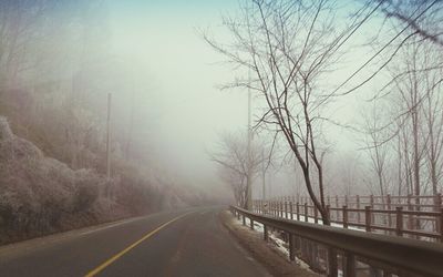 Road passing through bare trees