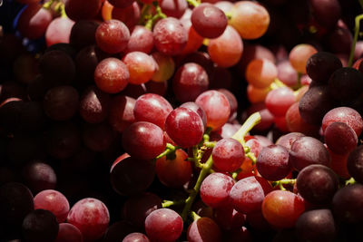 Full frame shot of grapes