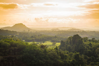 Scenic view of forest against sky during sunset