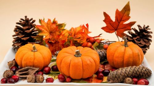 Close-up of pumpkins on autumn leaves