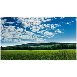 Scenic view of field against cloudy sky