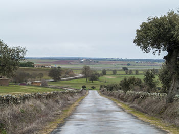 Road amidst agricultural field against sky