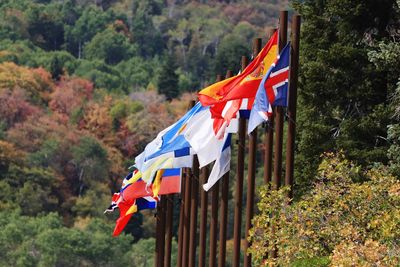 Low angle view of flags hanging from tree