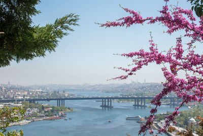 Scenic view of river by city against sky