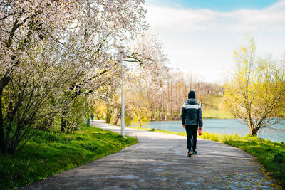 Man walking in the park after rain in springtime