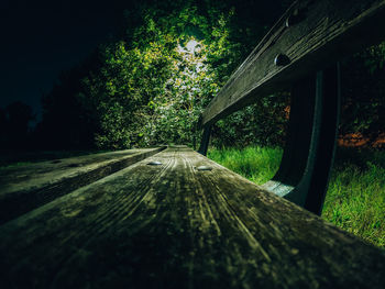 Surface level of wooden bridge amidst trees