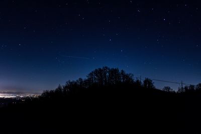 Trees against sky at night