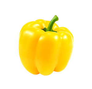 Close-up of yellow bell pepper against white background