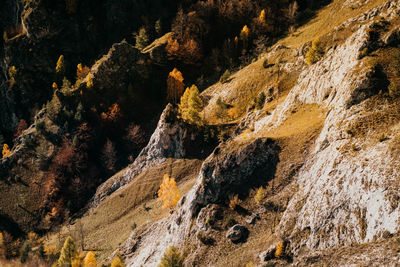 Low angle view of rock formations