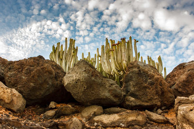 Low angle view of rocks on shore against cloudy sky