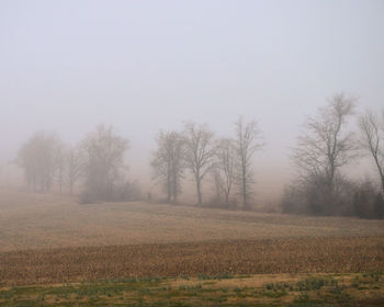 Trees on field against sky during foggy weather