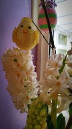 Close-up of yellow flowers