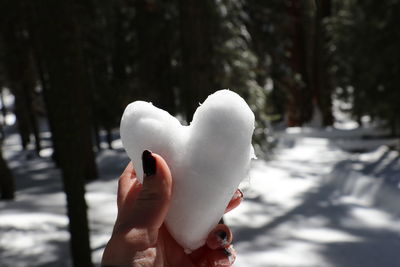 Close-up of person holding heart shape