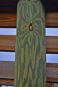 Close-up of wooden plank