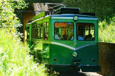 Train on railroad track amidst trees